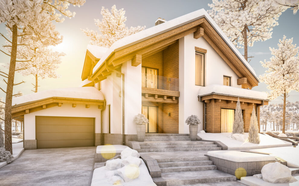 3d rendering of modern cozy house in chalet style