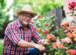 part-time job for retirees