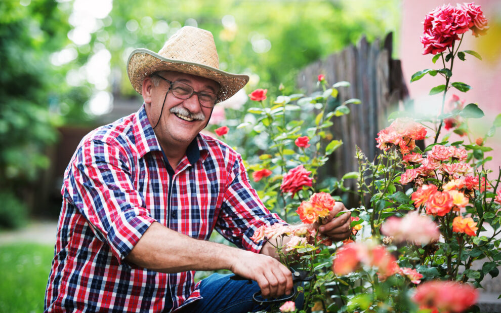 Gardening. Man working in the garden. Hobbies and leisure part-time job for retirees