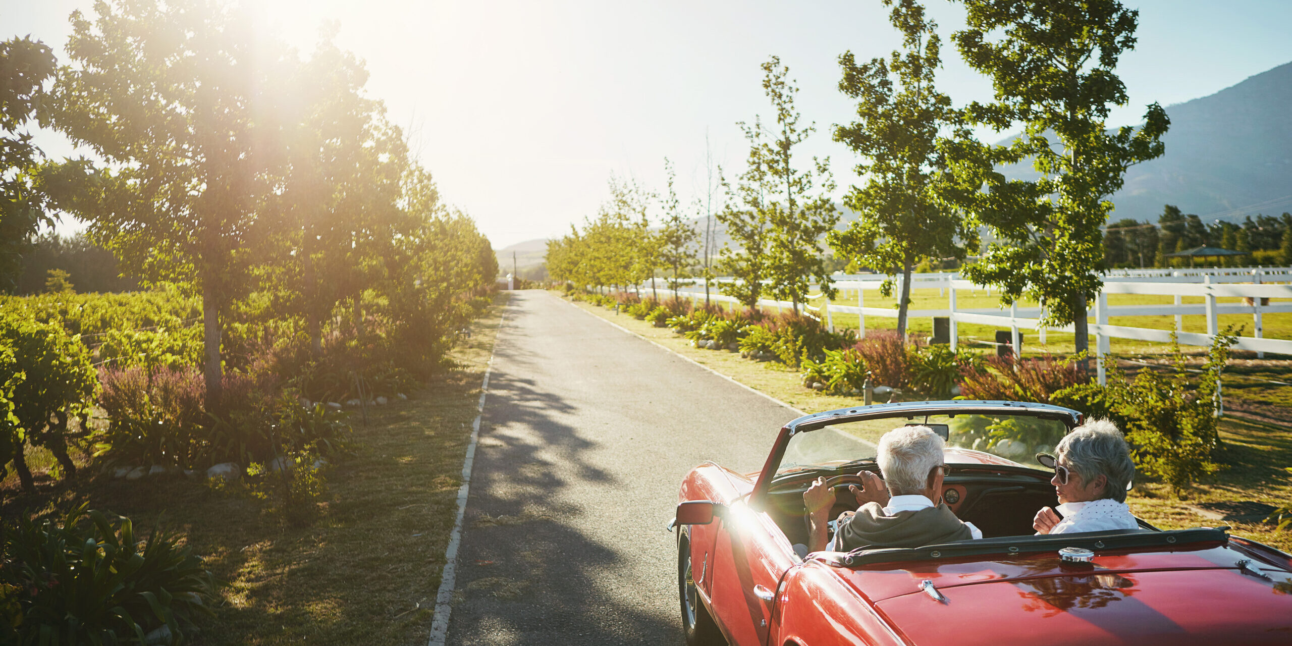 Catch-Up Contributions